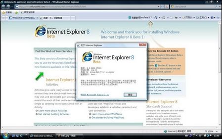 ie8
