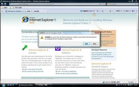 ie8