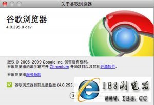 ȸ(Google Chrome) 4.0.295.0